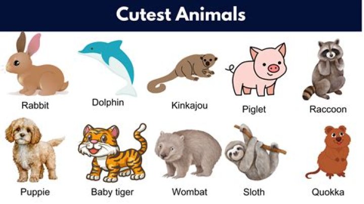 What is the cutest girl name?