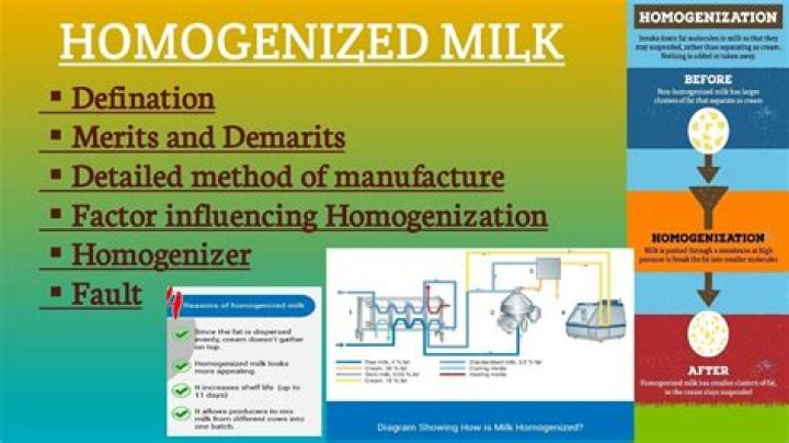 What is the difference between whole milk and homogenized?