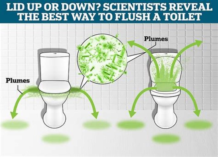 What is the fastest way to flush a UTI?