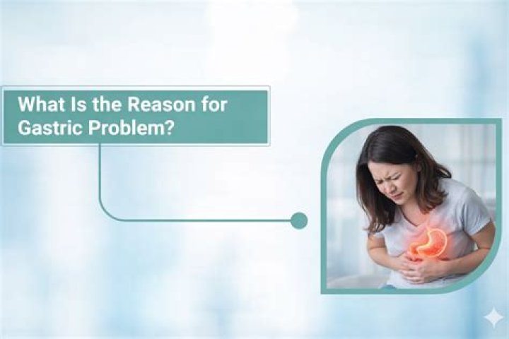What is the main reason of getting fat?