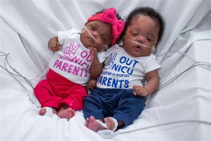 What is the most human babies born at once?