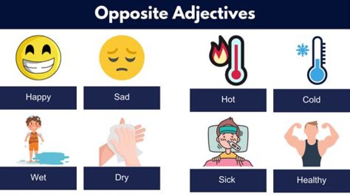 What is the opposite wet?