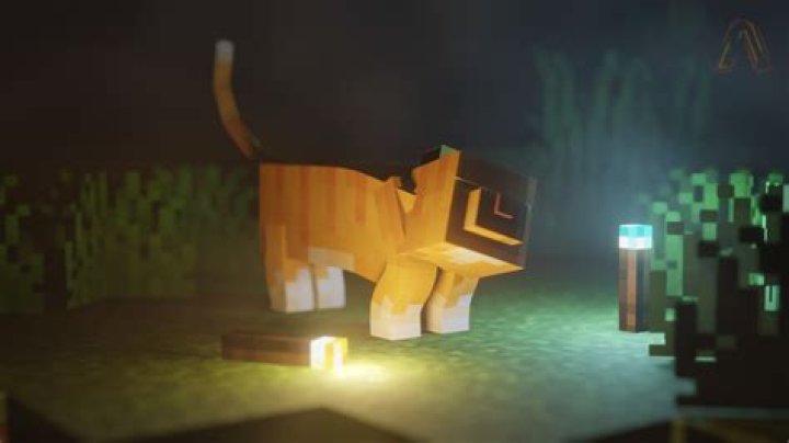 What is the rarest Minecraft cat?