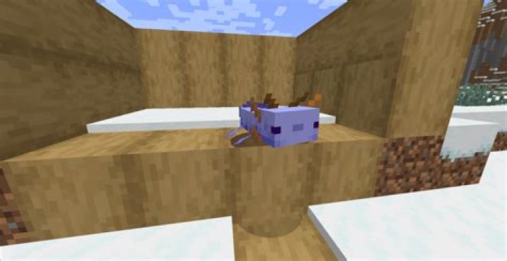 What is the rarest thing in Minecraft?