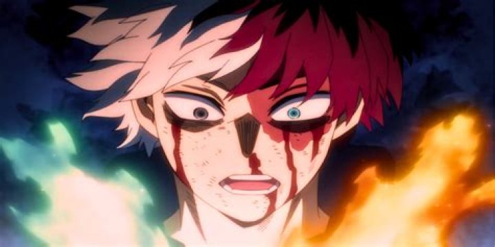 What is Todoroki's favorite food?