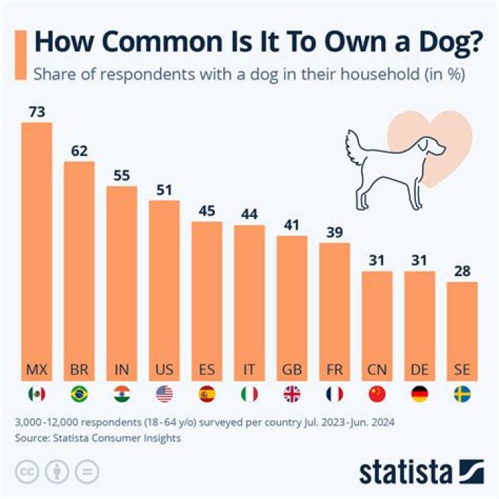 What percentage of dog owners brush their dog's teeth?