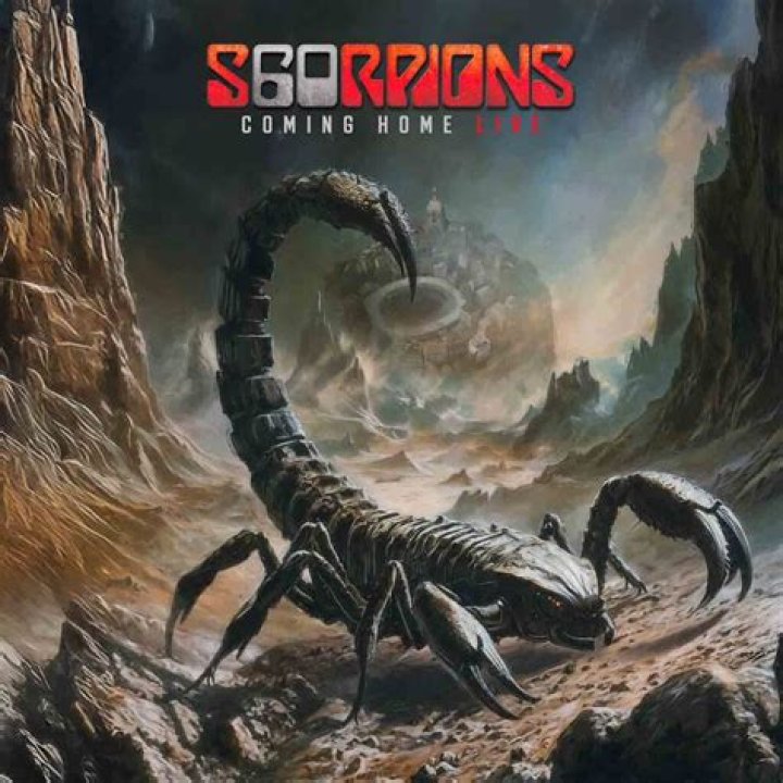 What season do scorpions come out?