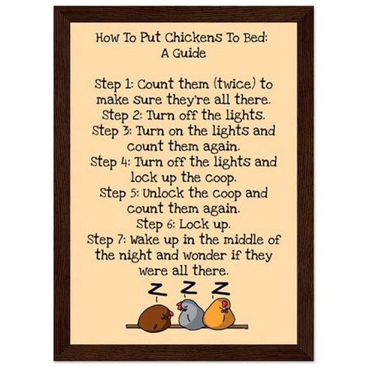 What time do you put your chickens to bed?