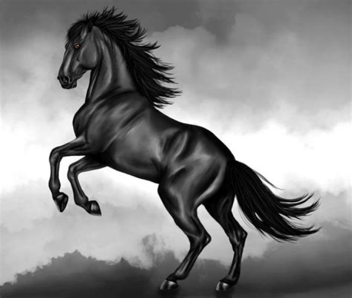 What to do if a horse runs off with you?