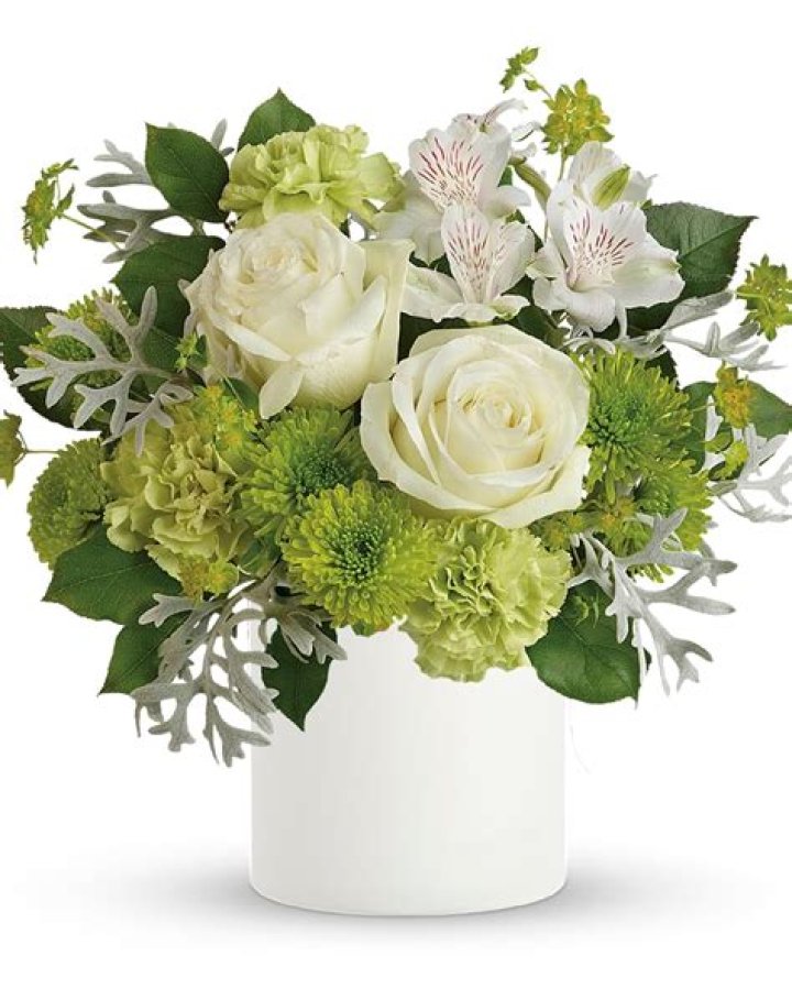 What was Rosalie's gift in Twilight?