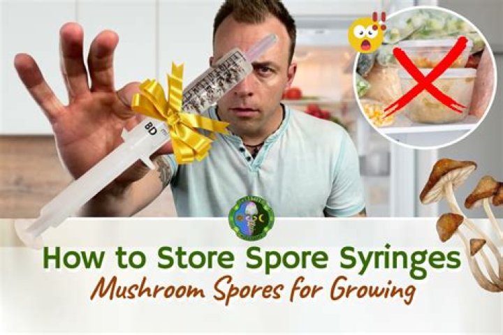 Where is the springy mushroom?