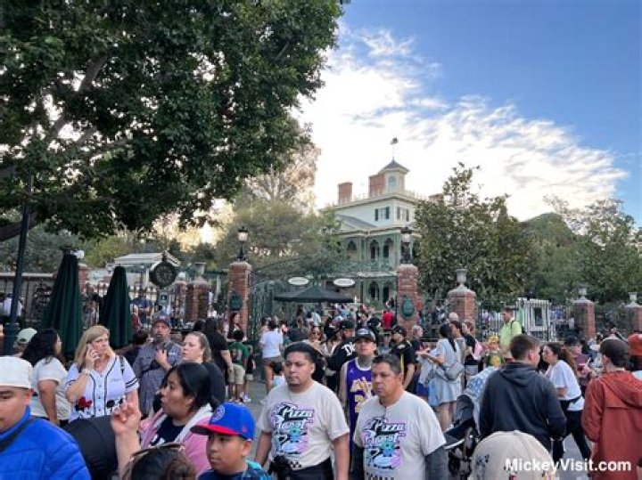 Which Disney park is least crowded on Sunday?