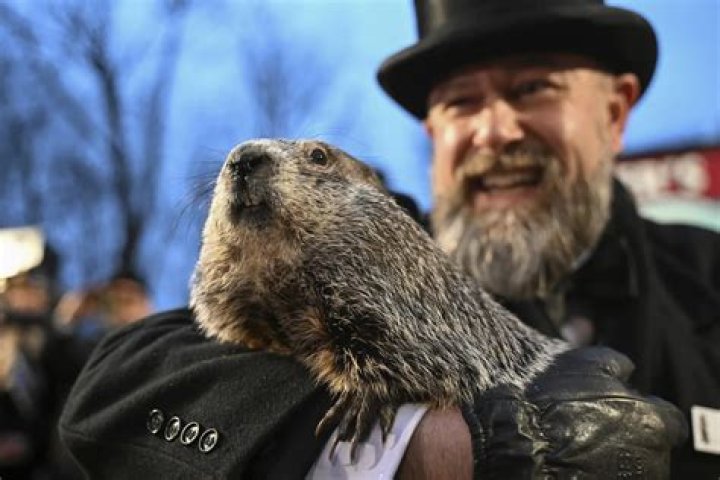 Who is the handler of Punxsutawney Phil?