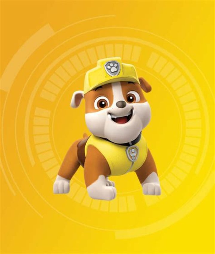 Who is the yellow dog in PAW Patrol?
