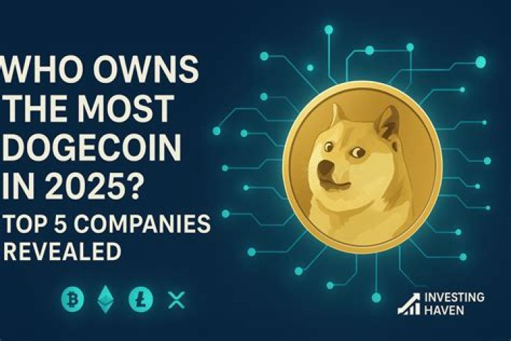 Who runs Dogecoin?