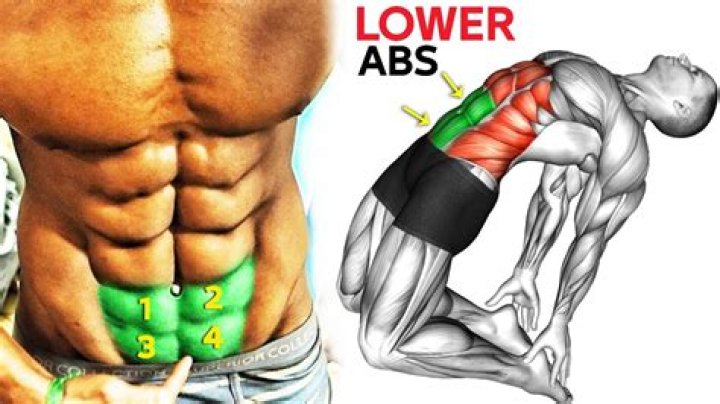 Why are lower abs so hard to get?