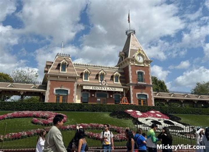 Why are there no birds at Disneyland?