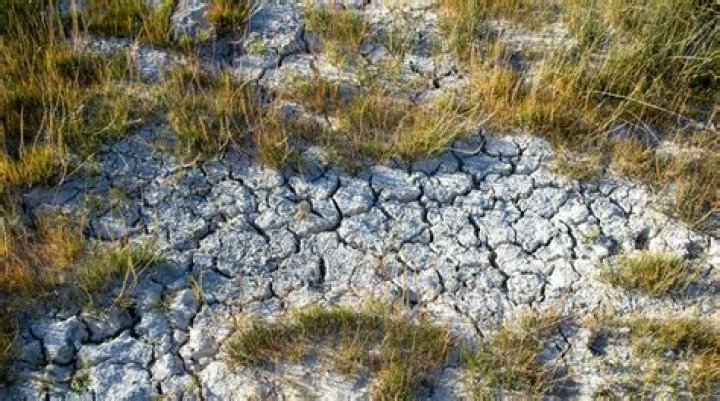 Why do we still use rubber tires?