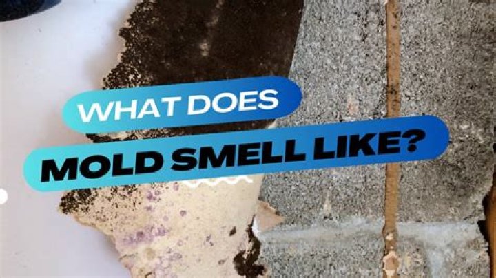 Why does my water smell like mold?