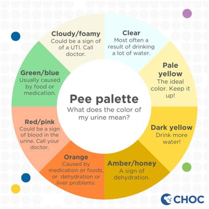 Why does pee smell like honey?