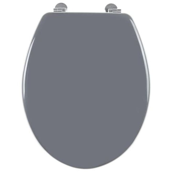 Why is my toilet seat GREY?