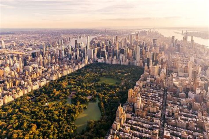 Why is New York so rich?