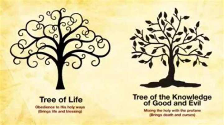 Why is the tree of life called the Tree of Life?