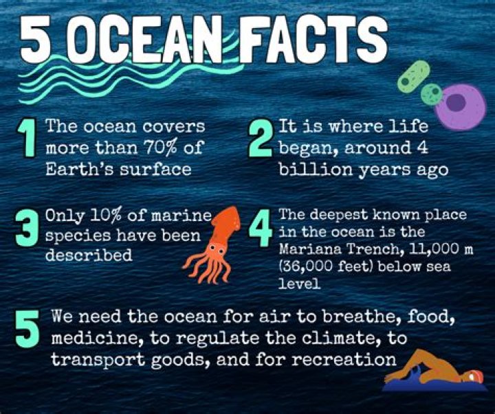 Why the ocean is silent?